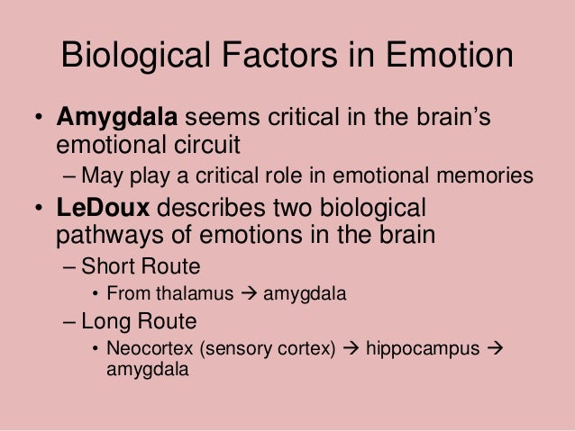 The important role of biological and cognitive factors in interacting with emotion