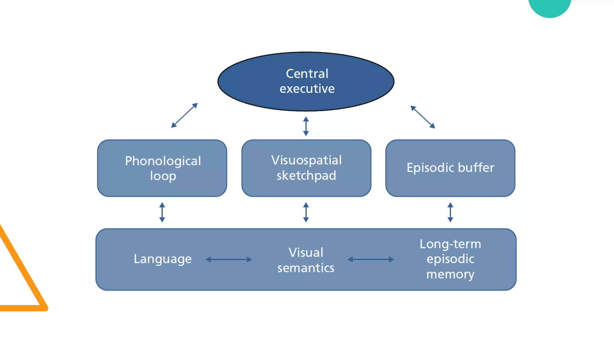 Cognitive Load Theory and Application in Teaching.pdf