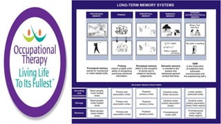 Cognitive Load Theory in Practice