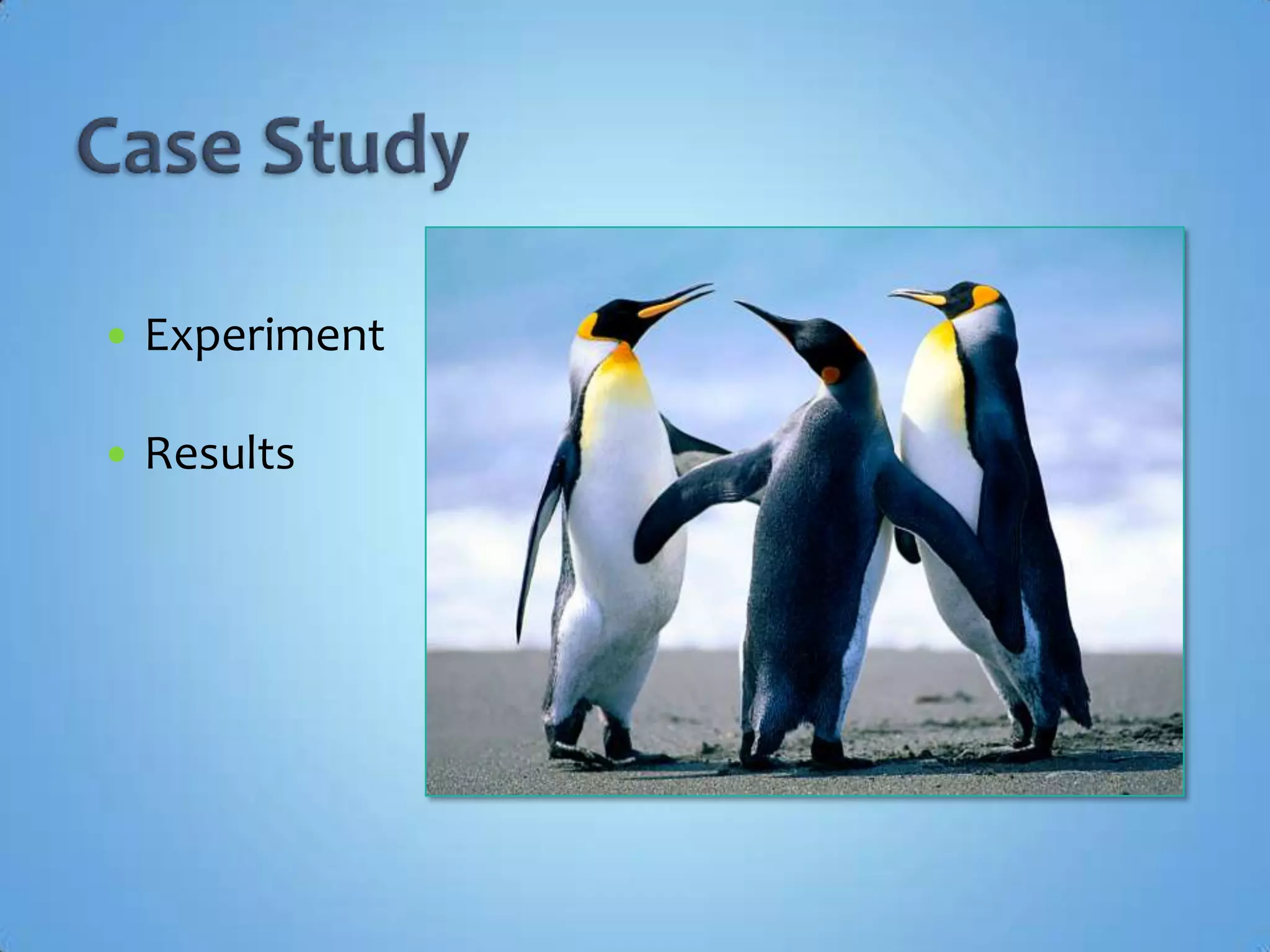 Case StudyQuick Description of the MethodElaboration of the INDIVIDUAL portfolio of projects1Week 1-2First CONFRONTATION of the individual portfolio of projects2Week 5COLECTIVE construction of the final portfolio of projects3Week 6