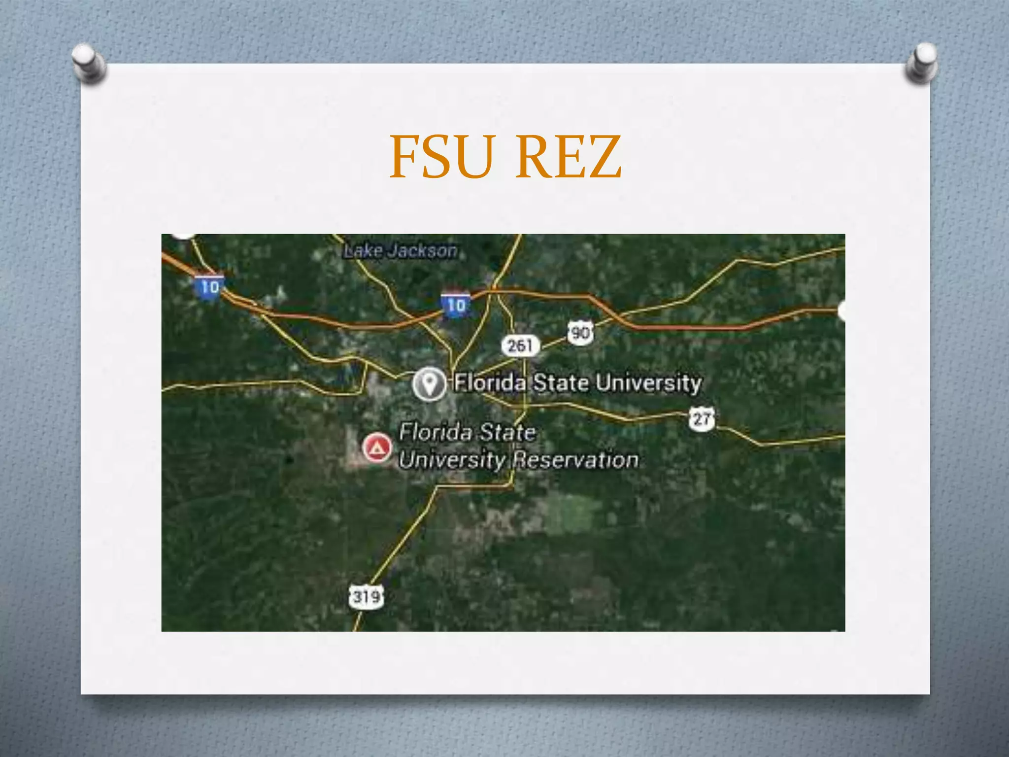 FSU REZ
 