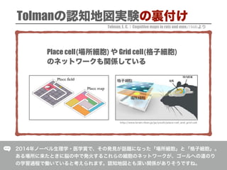Tolman, E. C. Cognitive maps in rats and men.(1948)
Tolman
Place cell Grid cell
 