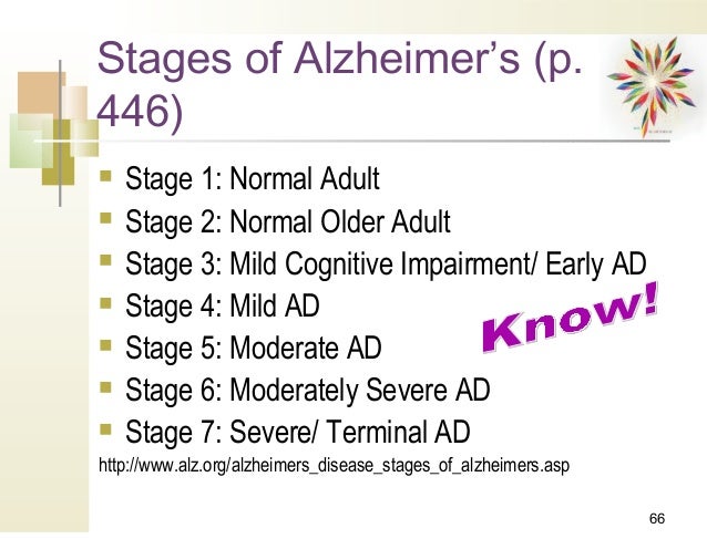 Pallium Resource App