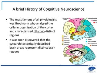 A brief History of Cognitive Neuroscience
• The most famous of all physiologists
was Brodmann who analysed the
cellular organisation of the cortex
and characterised fifty two distinct
regions
• It was soon discovered that the
cytoarchitectonically described
brain areas represent distinct brain
regions
 
