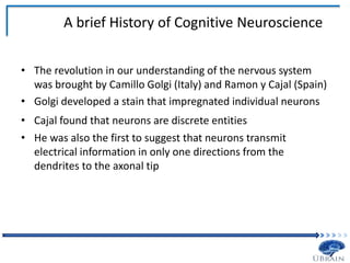 A brief History of Cognitive Neuroscience
• The revolution in our understanding of the nervous system
was brought by Camillo Golgi (Italy) and Ramon y Cajal (Spain)
• Golgi developed a stain that impregnated individual neurons
• Cajal found that neurons are discrete entities
• He was also the first to suggest that neurons transmit
electrical information in only one directions from the
dendrites to the axonal tip
 