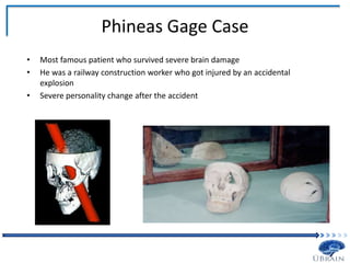 Phineas Gage Case
• Most famous patient who survived severe brain damage
• He was a railway construction worker who got injured by an accidental
explosion
• Severe personality change after the accident
 