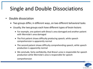 Single and Double Dissociations
• Double dissociation
 Two groups differ, in different ways, on two different behavioral tasks
 Usually, the two groups each have different types of brain lesions
 For example, one patient with Broca's area damaged and another patient
with Wernicke's area damaged
 The first patient shows difficulty producing speech, while speech
comprehension is apparently normal
 The second patient shows difficulty comprehending speech, while speech
production is apparently normal
 We conclude, fairly confidently, that Broca's area is responsible for speech
production while Wernicke's area is responsible for speech
comprehension
 