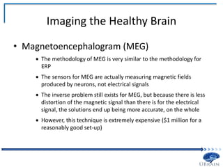 Imaging the Healthy Brain
• Magnetoencephalogram (MEG)
 The methodology of MEG is very similar to the methodology for
ERP
 The sensors for MEG are actually measuring magnetic fields
produced by neurons, not electrical signals
 The inverse problem still exists for MEG, but because there is less
distortion of the magnetic signal than there is for the electrical
signal, the solutions end up being more accurate, on the whole
 However, this technique is extremely expensive ($1 million for a
reasonably good set-up)
 