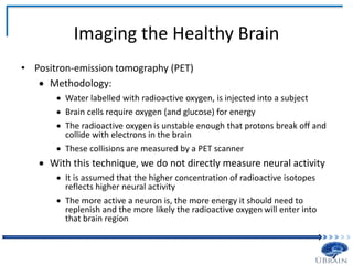 Imaging the Healthy Brain
• Positron-emission tomography (PET)
 Methodology:
 Water labelled with radioactive oxygen, is injected into a subject
 Brain cells require oxygen (and glucose) for energy
 The radioactive oxygen is unstable enough that protons break off and
collide with electrons in the brain
 These collisions are measured by a PET scanner
 With this technique, we do not directly measure neural activity
 It is assumed that the higher concentration of radioactive isotopes
reflects higher neural activity
 The more active a neuron is, the more energy it should need to
replenish and the more likely the radioactive oxygen will enter into
that brain region
 