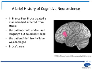 A brief History of Cognitive Neuroscience
• In France Paul Broca treated a
man who had suffered from
stroke
• the patient could understand
language but could not speak
• the patient’s left frontal lobe
was damaged
• Broca’s area
3D MRI of human brain with Broca's area highlighted in red
 
