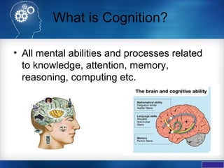 Cognitive Neuroscience | PPT