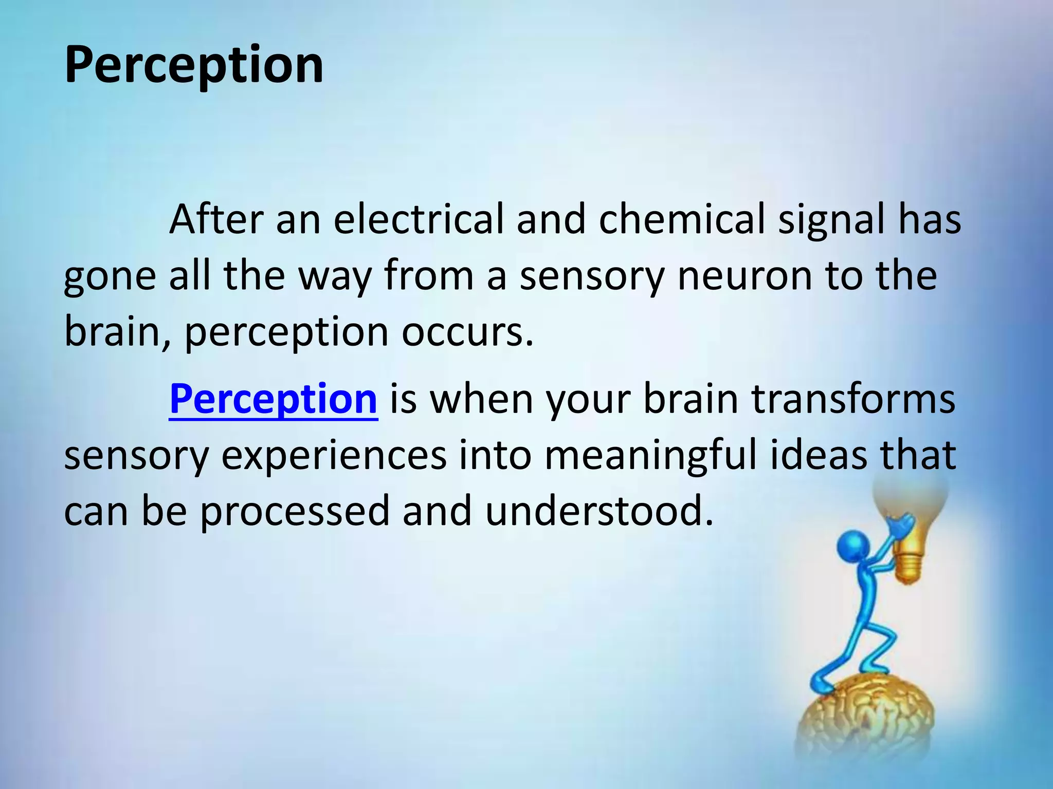 Perception
After an electrical and chemical signal has
gone all the way from a sensory neuron to the
brain, perception occurs.
Perception is when your brain transforms
sensory experiences into meaningful ideas that
can be processed and understood.
 