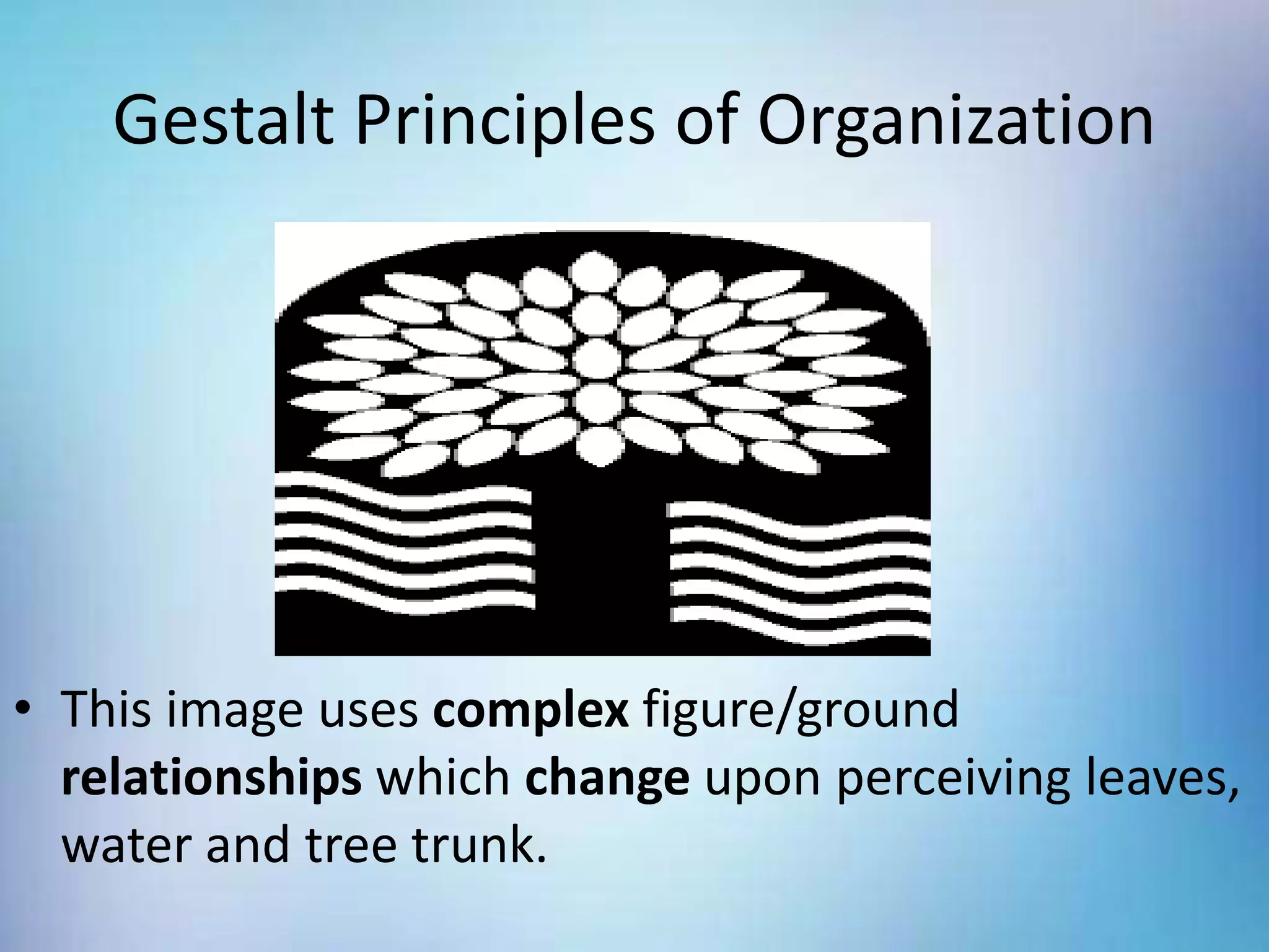 Gestalt Principles of Organization
• This image uses complex figure/ground
relationships which change upon perceiving leaves,
water and tree trunk.
 