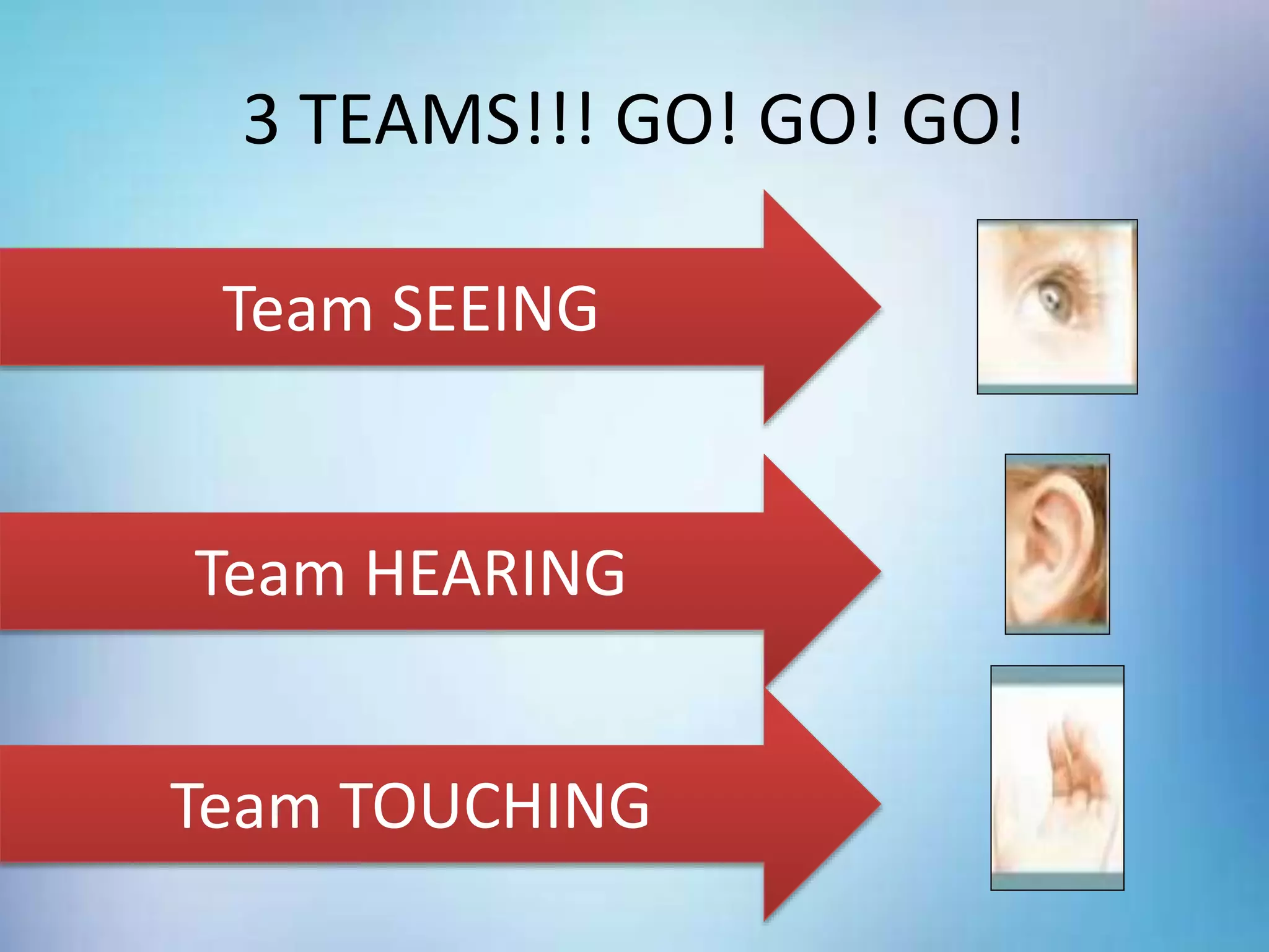 3 TEAMS!!! GO! GO! GO!
Team SEEING
Team HEARING
Team TOUCHING
 