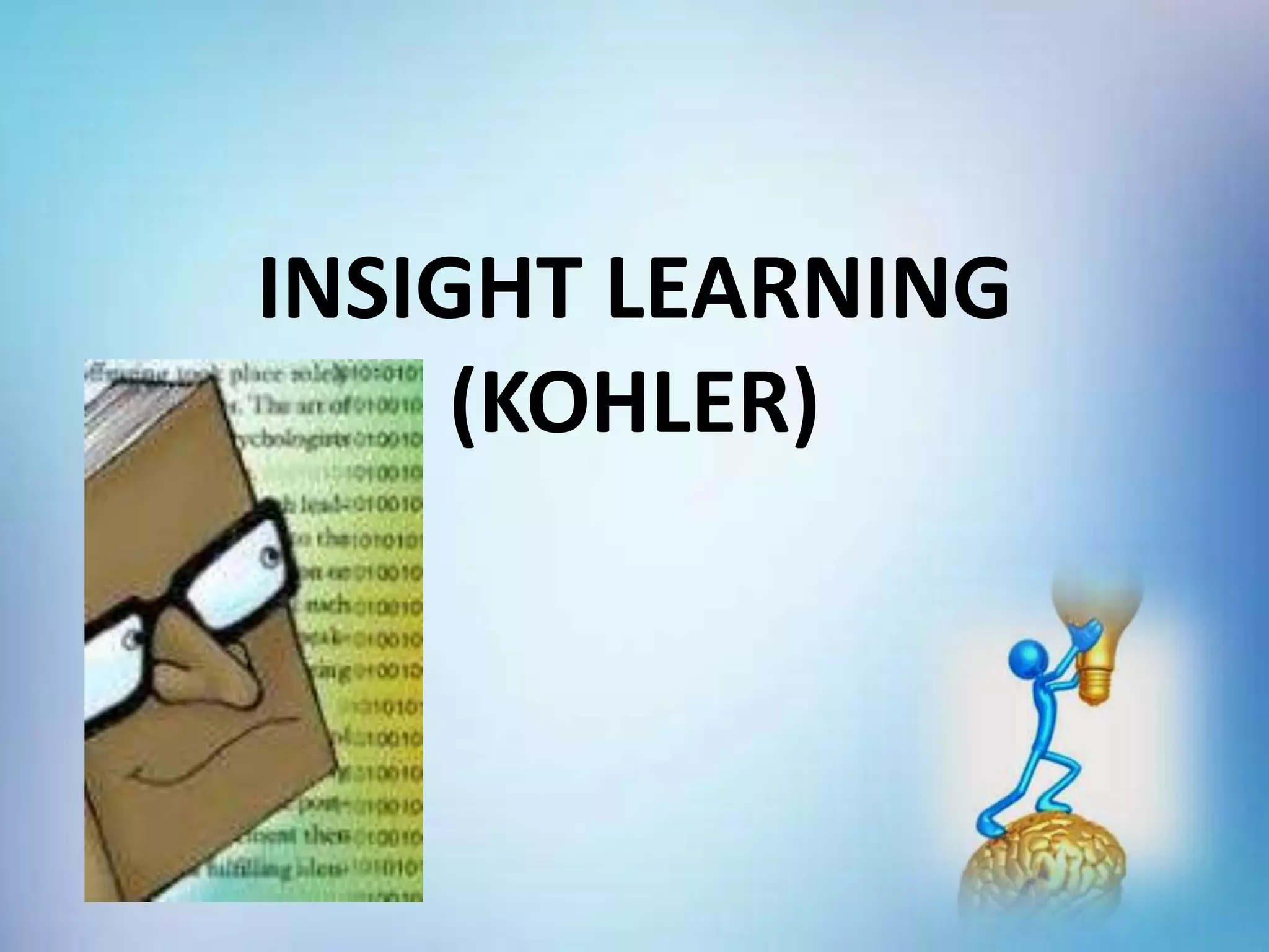 INSIGHT LEARNING
(KOHLER)
 