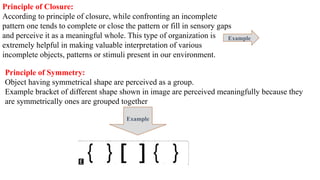 Comprehensive Overview of Attention in Cognitive Processes: Types ...