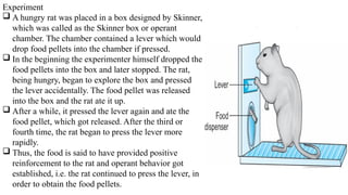 Hungry Rats Comprehensive Overview of Attention in Cognitive Processes: Types ...