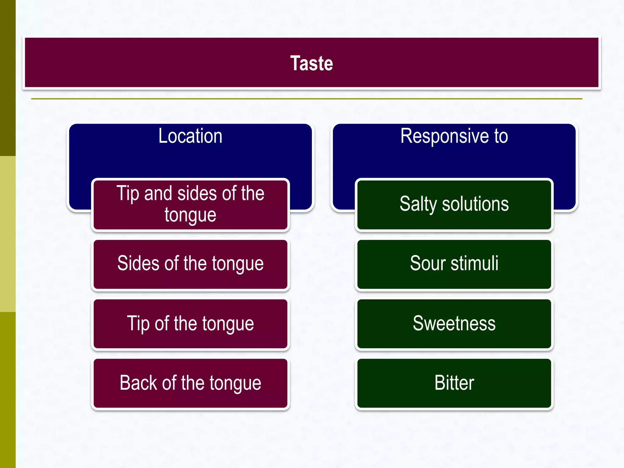 Location
Tip and sides of the
tongue
Sides of the tongue
Tip of the tongue
Back of the tongue
Responsive to
Salty solutions
Sour stimuli
Sweetness
Bitter
Taste
 