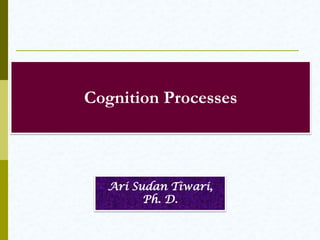 Cognitive Processes
Ari Sudan Tiwari, Ph.
D.
 