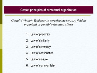 Gestalt principles of perceptual organization
1. Law of proximity
2. Law of similarity
3. Law of symmetry
4. Law of continuation
5. Law of closure
6. Law of common fate
Gestalt (Whole): Tendency to perceive the sensory field as
organized as possible/situation allows
 