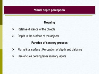 Visual depth perception
Meaning
 Relative distance of the objects
 Depth in the surface of the objects
Paradox of sensory process
 Flat retinal surface : Perception of depth and distance
 Use of cues coming from sensory inputs
 