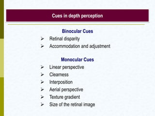 Cues in depth perception
Binocular Cues
 Retinal disparity
 Accommodation and adjustment
Monocular Cues
 Linear perspective
 Clearness
 Interposition
 Aerial perspective
 Texture gradient
 Size of the retinal image
 