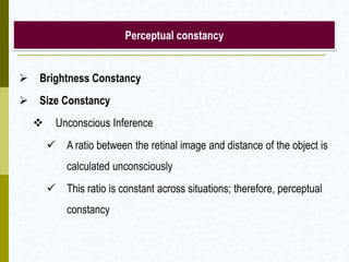 Perceptual constancy
 Brightness Constancy
 Size Constancy
 Unconscious Inference
 A ratio between the retinal image and distance of the object is
calculated unconsciously
 This ratio is constant across situations; therefore, perceptual
constancy
 