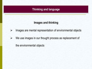 Thinking and language
Images and thinking
 Images are mental representation of environmental objects
 We use images in our thought process as replacement of
the environmental objects
 