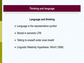 Thinking and language
Language and thinking
 Language is the representative symbol
 Stored in semantic LTM
 Talking to oneself under ones breath
 Linguistic Relativity Hypothesis: Whorf (1956)
 