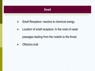 Smell
 Smell Receptors: reactive to chemical energy
 Location of smell receptors: In the roots of nasal
passages leading from the nostrils to the throat
 Olfactory bulb
 