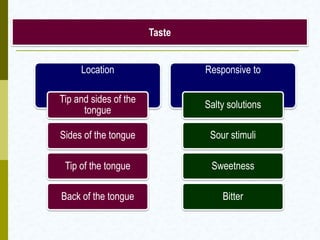 Location
Tip and sides of the
tongue
Sides of the tongue
Tip of the tongue
Back of the tongue
Responsive to
Salty solutions
Sour stimuli
Sweetness
Bitter
Taste
 