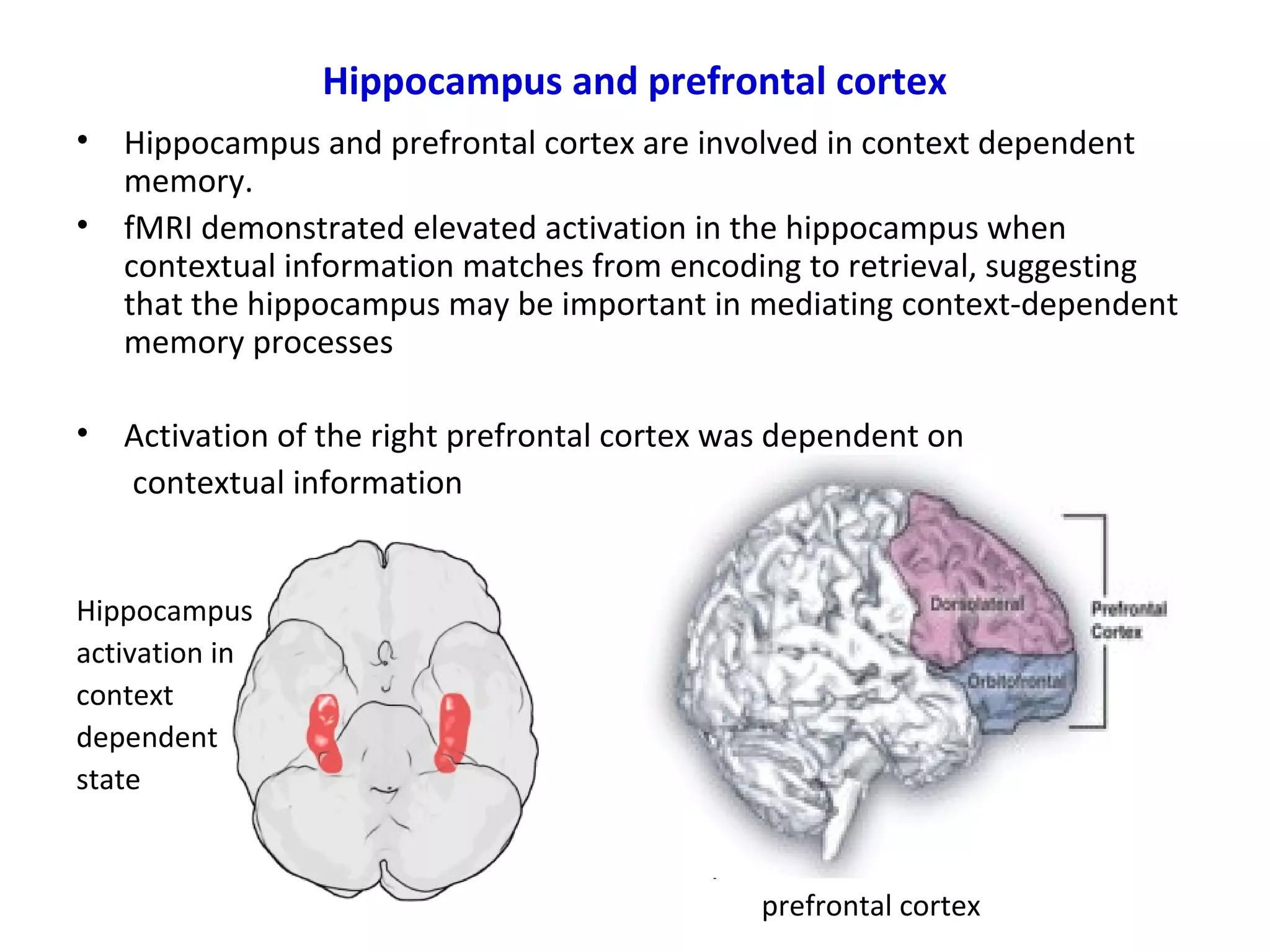 Hippocampus and prefrontal cortex
• Hippocampus and prefrontal cortex are involved in context dependent
memory.
• fMRI demonstrated elevated activation in the hippocampus when
contextual information matches from encoding to retrieval, suggesting
that the hippocampus may be important in mediating context-dependent
memory processes
• Activation of the right prefrontal cortex was dependent on
contextual information
Hippocampus
activation in
context
dependent
state
pre
prefrontal cortex
 