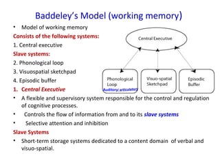 Baddeley’s Model (working memory)
• Model of working memory
Consists of the following systems:
1. Central executive
Slave systems:
2. Phonological loop
3. Visuospatial sketchpad
4. Episodic buffer
1. Central Executive
• A flexible and supervisory system responsible for the control and regulation
of cognitive processes.
• Controls the flow of information from and to its slave systems
• Selective attention and inhibition
Slave Systems
• Short-term storage systems dedicated to a content domain of verbal and
visuo-spatial.
Auditory/ articulatory
 