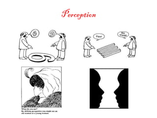Perception
 