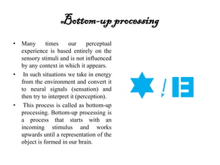 Bottom-upprocessing
• Many times our perceptual
experience is based entirely on the
sensory stimuli and is not influenced
by any context in which it appears.
• In such situations we take in energy
from the environment and convert it
to neural signals (sensation) and
then try to interpret it (perception).
• This process is called as bottom-up
processing. Bottom-up processing is
a process that starts with an
incoming stimulus and works
upwards until a representation of the
object is formed in our brain.
 