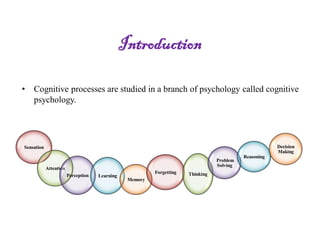 Introduction
• Cognitive processes are studied in a branch of psychology called cognitive
psychology.
Sensation
Attention
Perception Learning
Memory
Forgetting Thinking
Problem
Solving
Reasoning
Decision
Making
 
