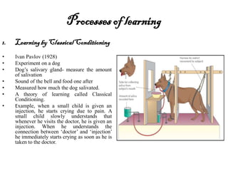 Processesof learning
1. Learningby ClassicalConditioning
• Ivan Pavlov (1928)
• Experiment on a dog
• Dog’s salivary gland- measure the amount
of salivation
• Sound of the bell and food one after
• Measured how much the dog salivated.
• A theory of learning called Classical
Conditioning.
• Example, when a small child is given an
injection, he starts crying due to pain. A
small child slowly understands that
whenever he visits the doctor, he is given an
injection. When he understands the
connection between ‘doctor’ and ‘injection’
he immediately starts crying as soon as he is
taken to the doctor.
 