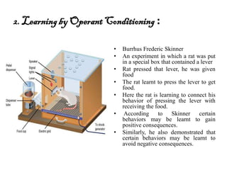 2. Learningby OperantConditioning :
• Burrhus Frederic Skinner
• An experiment in which a rat was put
in a special box that contained a lever
• Rat pressed that lever, he was given
food
• The rat learnt to press the lever to get
food.
• Here the rat is learning to connect his
behavior of pressing the lever with
receiving the food.
• According to Skinner certain
behaviors may be learnt to gain
positive consequences.
• Similarly, he also demonstrated that
certain behaviors may be learnt to
avoid negative consequences.
 