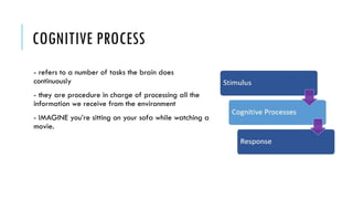 Cognitive Process Guide Psychology - Cognitive Processes and Model.pptx