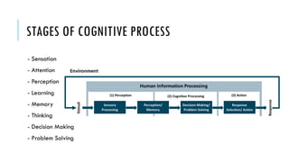 Psychology - Cognitive Processes and Model.pptx