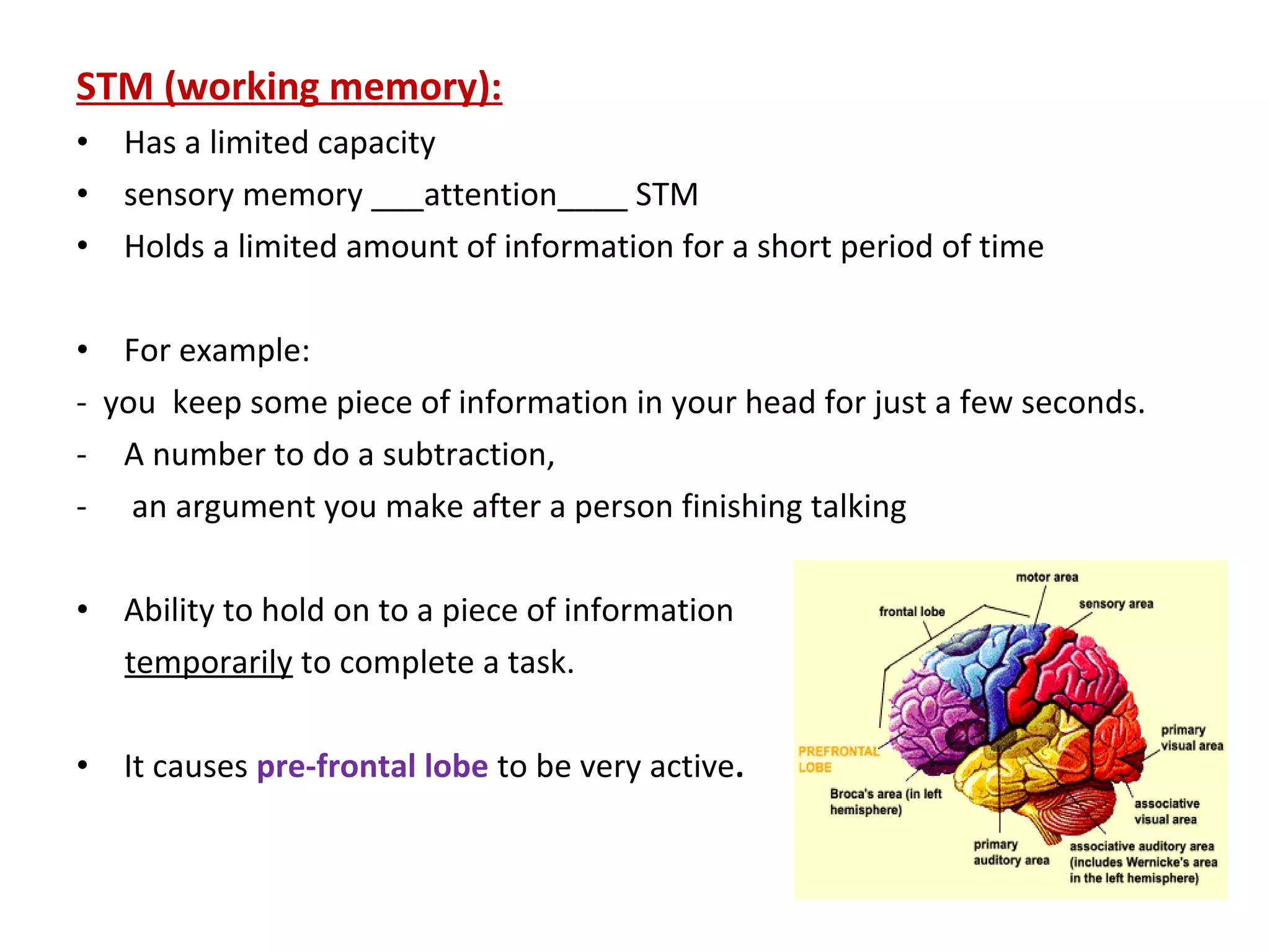 STM (working memory):
• Has a limited capacity
• sensory memory ___attention____ STM
• Holds a limited amount of information for a short period of time
• For example:
- you keep some piece of information in your head for just a few seconds.
- A number to do a subtraction,
- an argument you make after a person finishing talking
• Ability to hold on to a piece of information
temporarily to complete a task.
• It causes pre-frontal lobe to be very active.
 