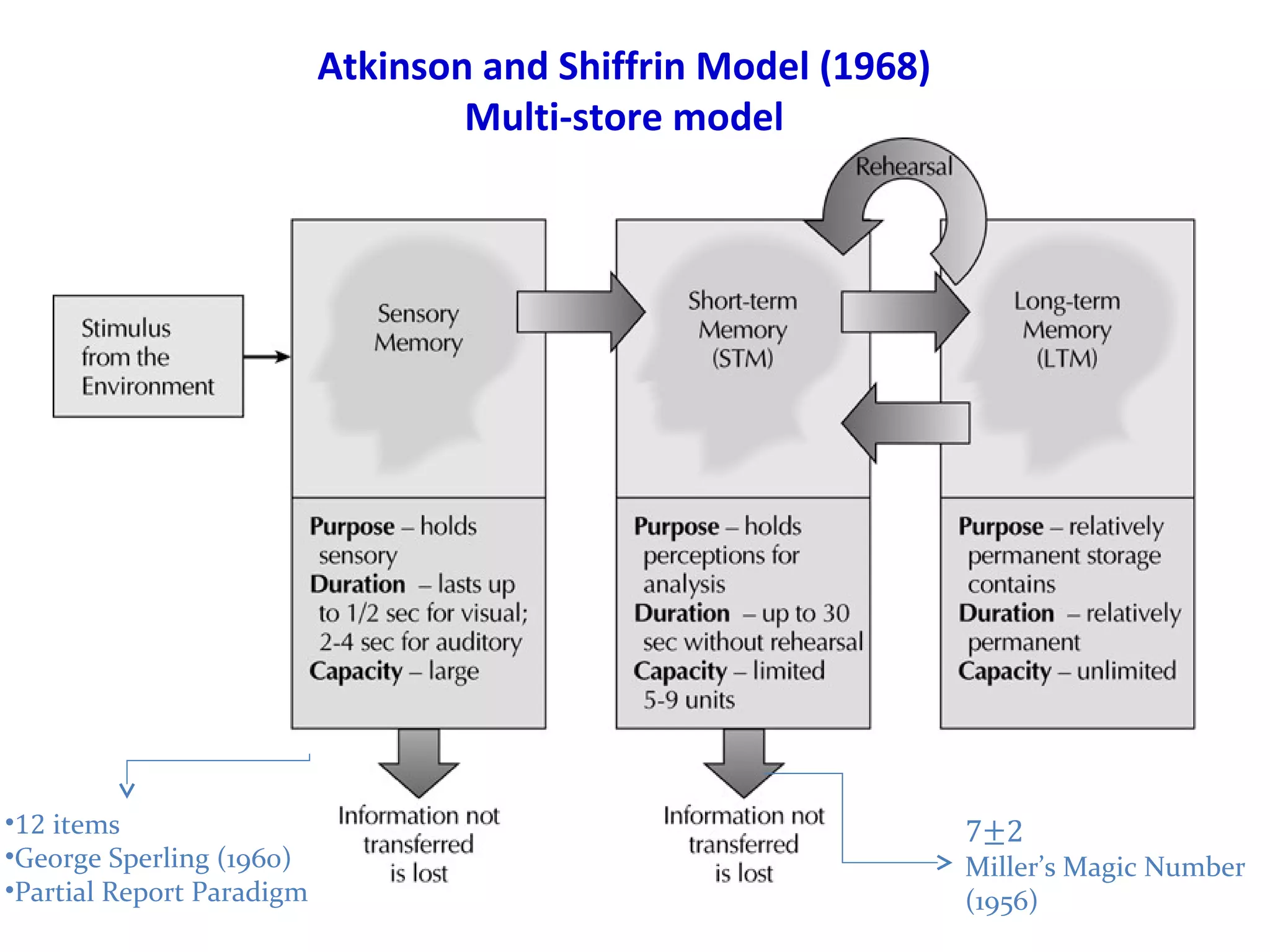 Atkinson and Shiffrin Model (1968)
Multi-store model
•12 items
•George Sperling (1960)
•Partial Report Paradigm
7±2
Miller’s Magic Number
(1956)
 