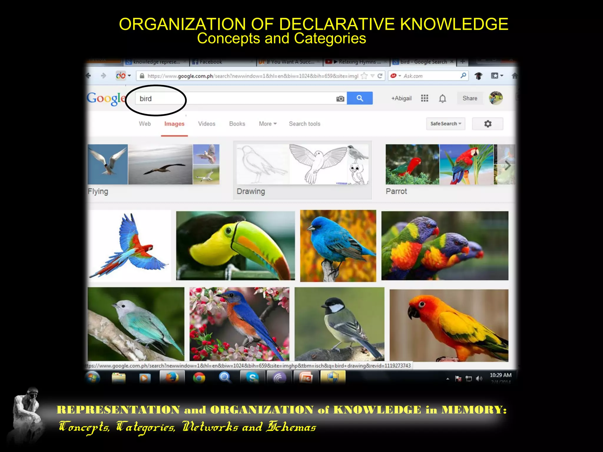 REPRESENTATION and ORGANIZATION of KNOWLEDGE in MEMORY:
Concepts, Categories, Networks and Schemas
ORGANIZATION OF DECLARATIVE KNOWLEDGE
Concepts and Categories
 