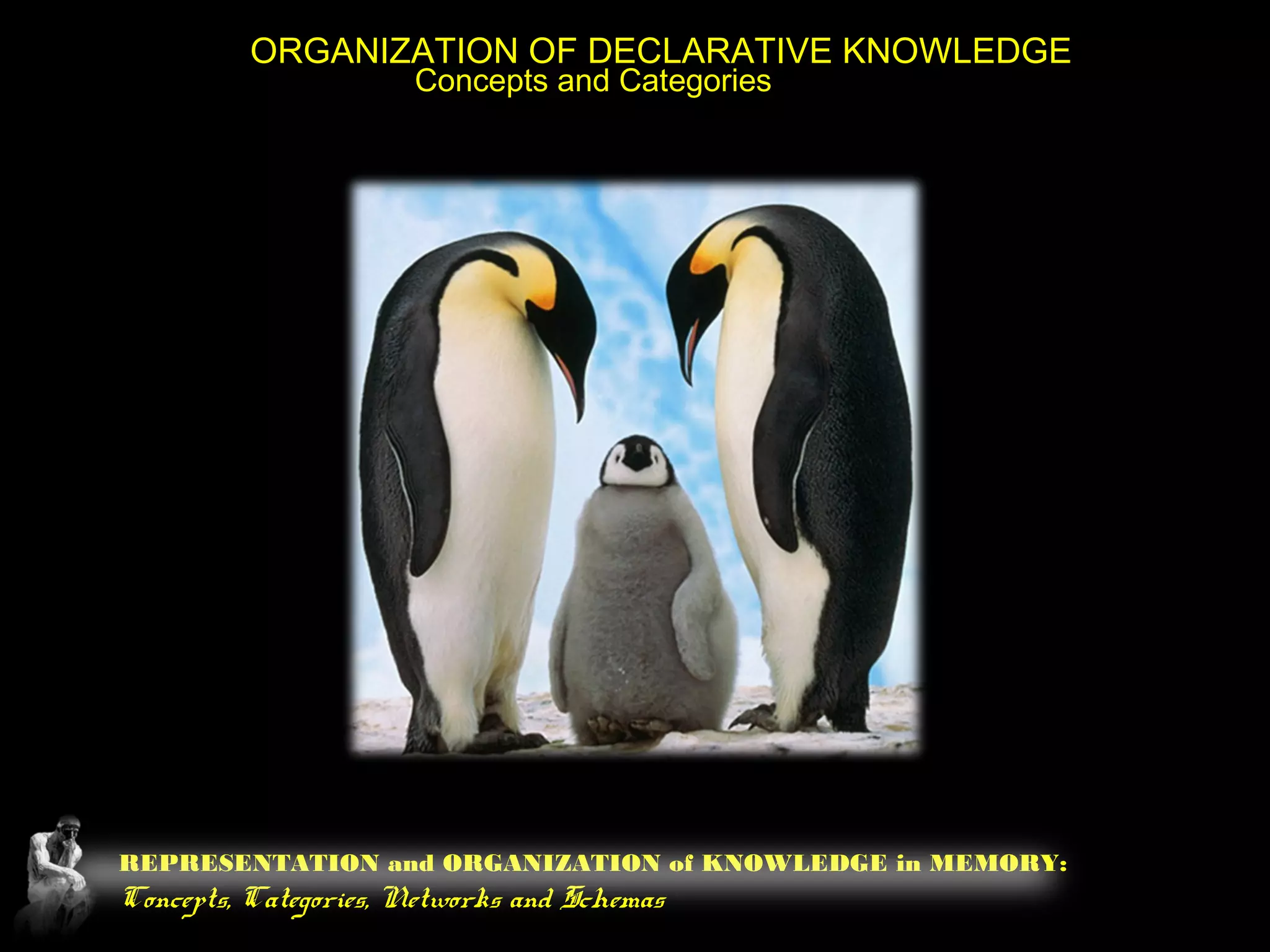 REPRESENTATION and ORGANIZATION of KNOWLEDGE in MEMORY:
Concepts, Categories, Networks and Schemas
ORGANIZATION OF DECLARATIVE KNOWLEDGE
Concepts and Categories
 