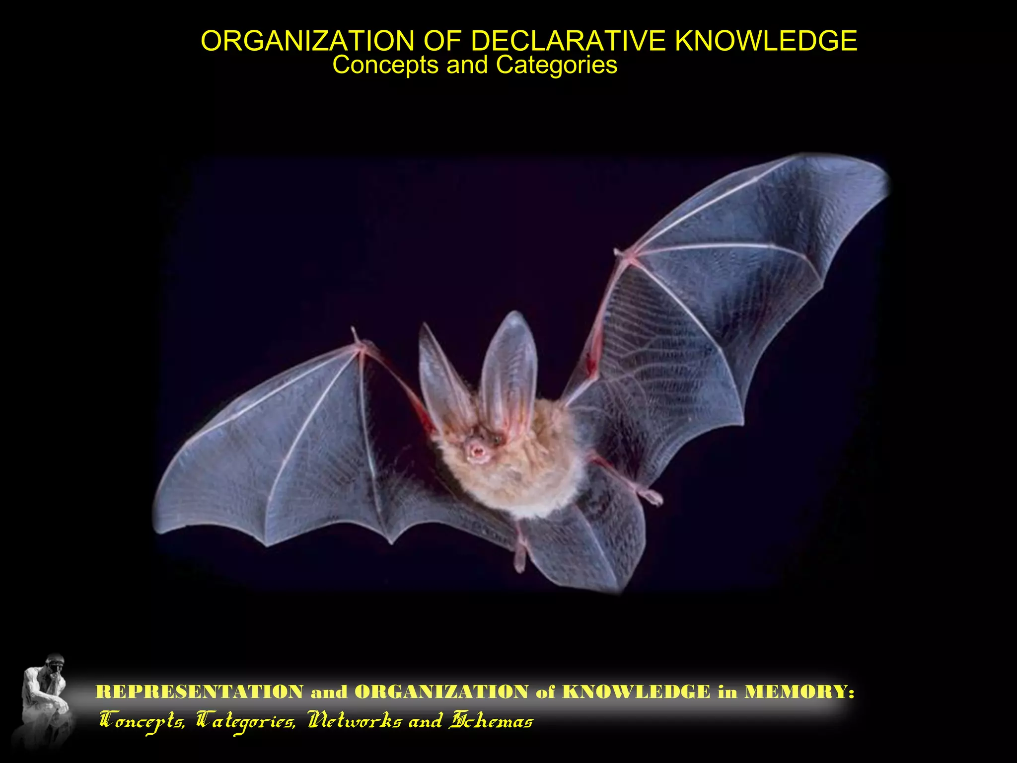 REPRESENTATION and ORGANIZATION of KNOWLEDGE in MEMORY:
Concepts, Categories, Networks and Schemas
ORGANIZATION OF DECLARATIVE KNOWLEDGE
Concepts and Categories
 