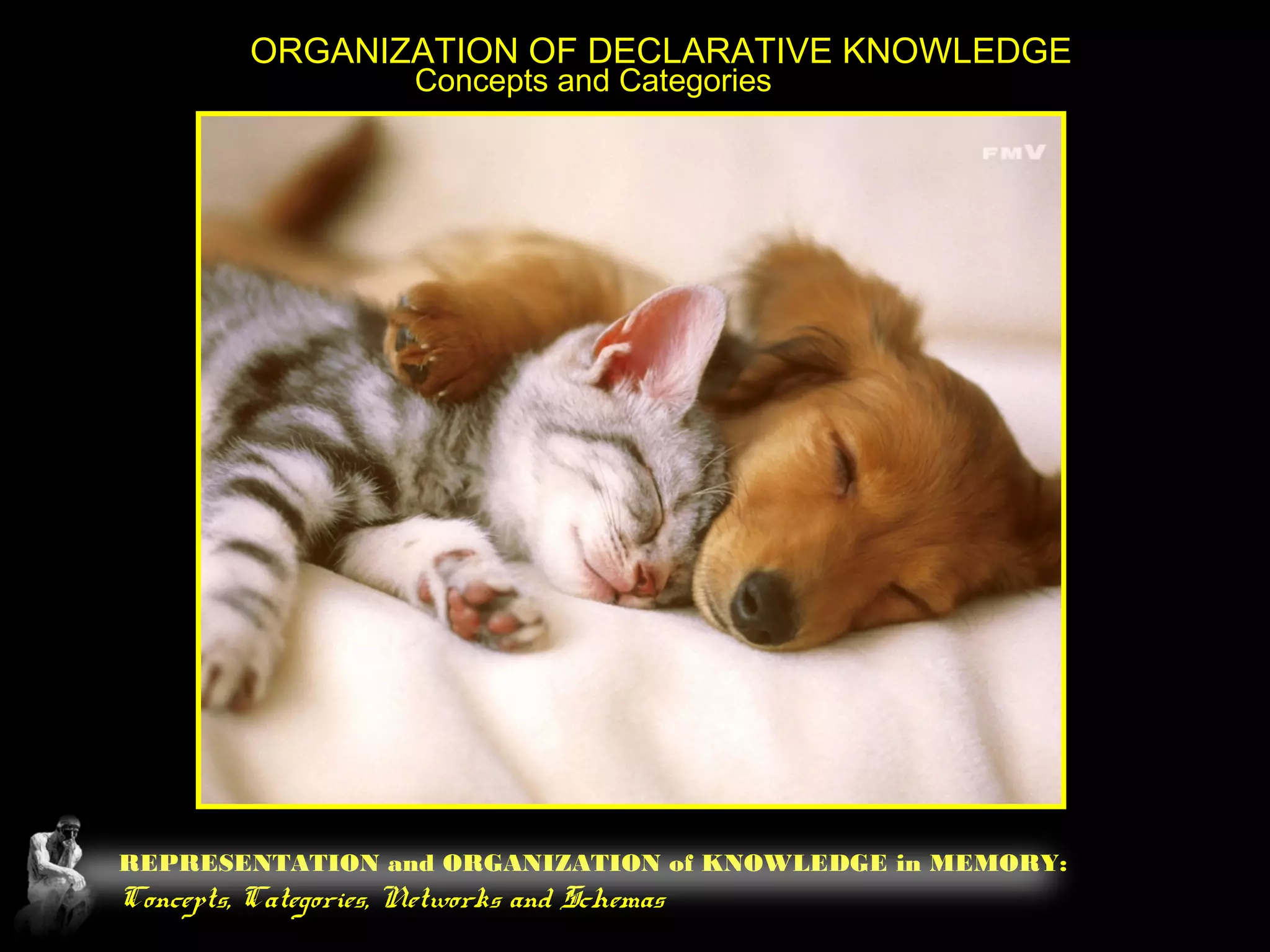 REPRESENTATION and ORGANIZATION of KNOWLEDGE in MEMORY:
Concepts, Categories, Networks and Schemas
ORGANIZATION OF DECLARATIVE KNOWLEDGE
Concepts and Categories
 
