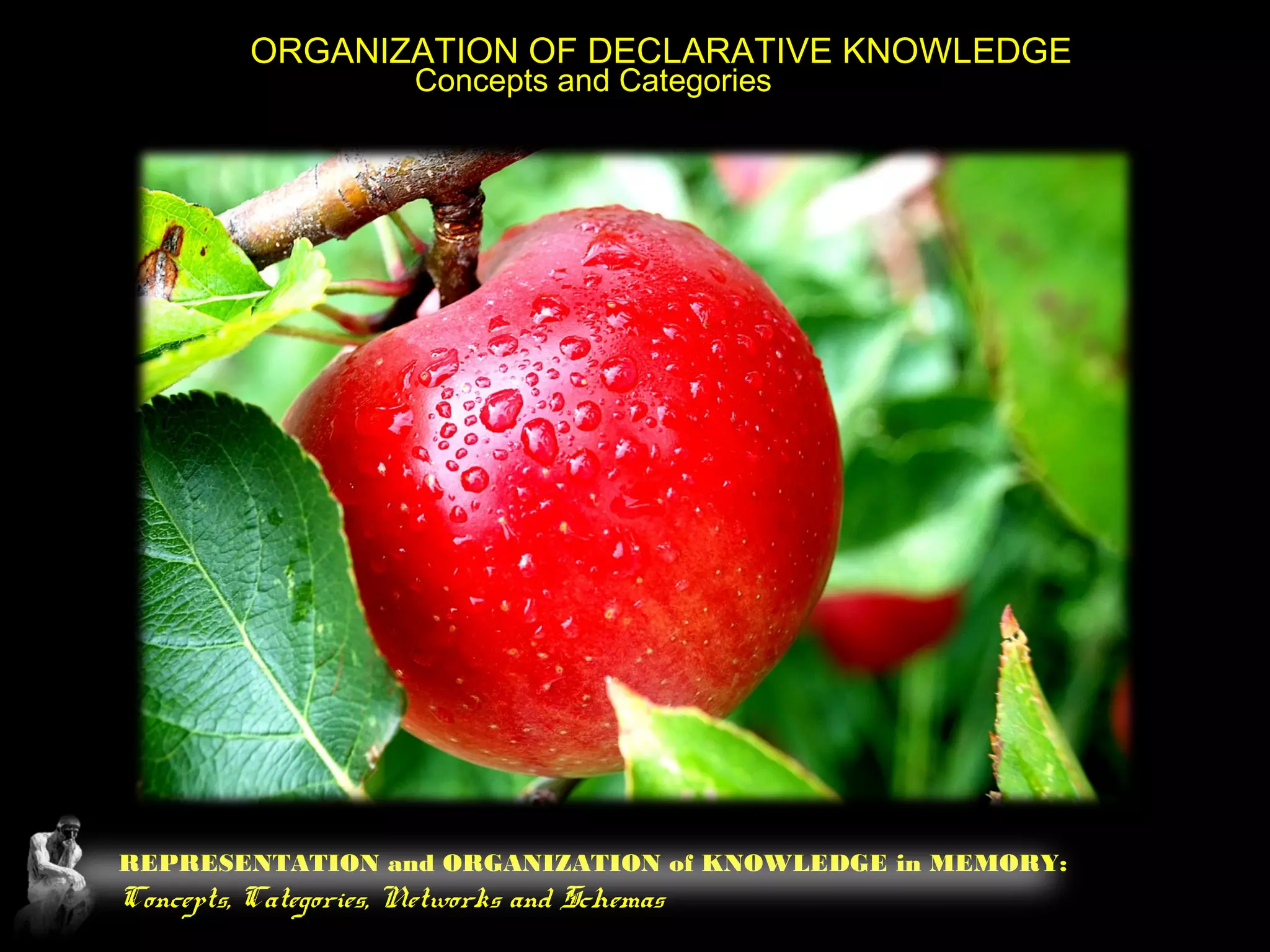REPRESENTATION and ORGANIZATION of KNOWLEDGE in MEMORY:
Concepts, Categories, Networks and Schemas
ORGANIZATION OF DECLARATIVE KNOWLEDGE
Concepts and Categories
 