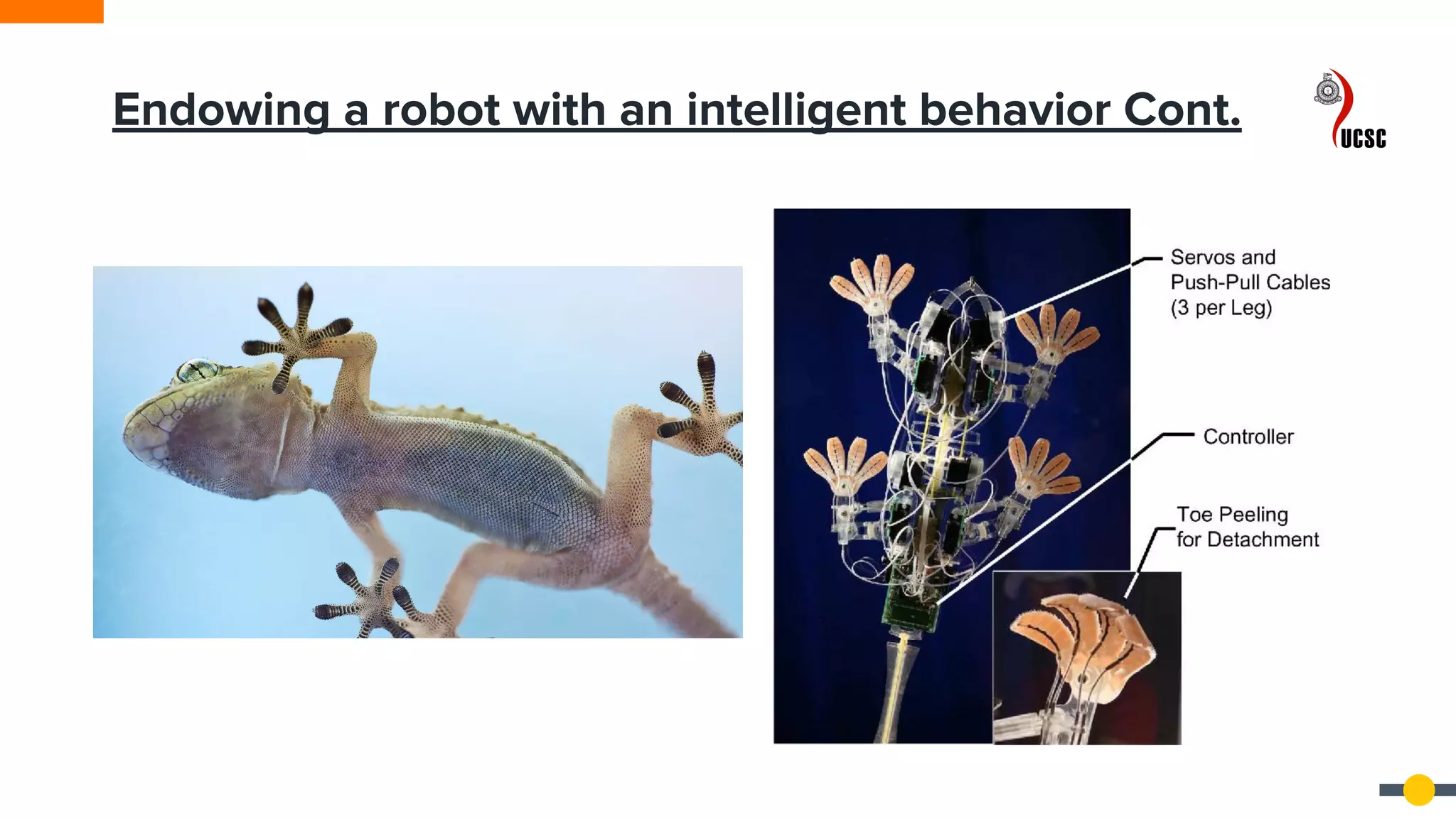 Endowing a robot with an intelligent behavior Cont.
 