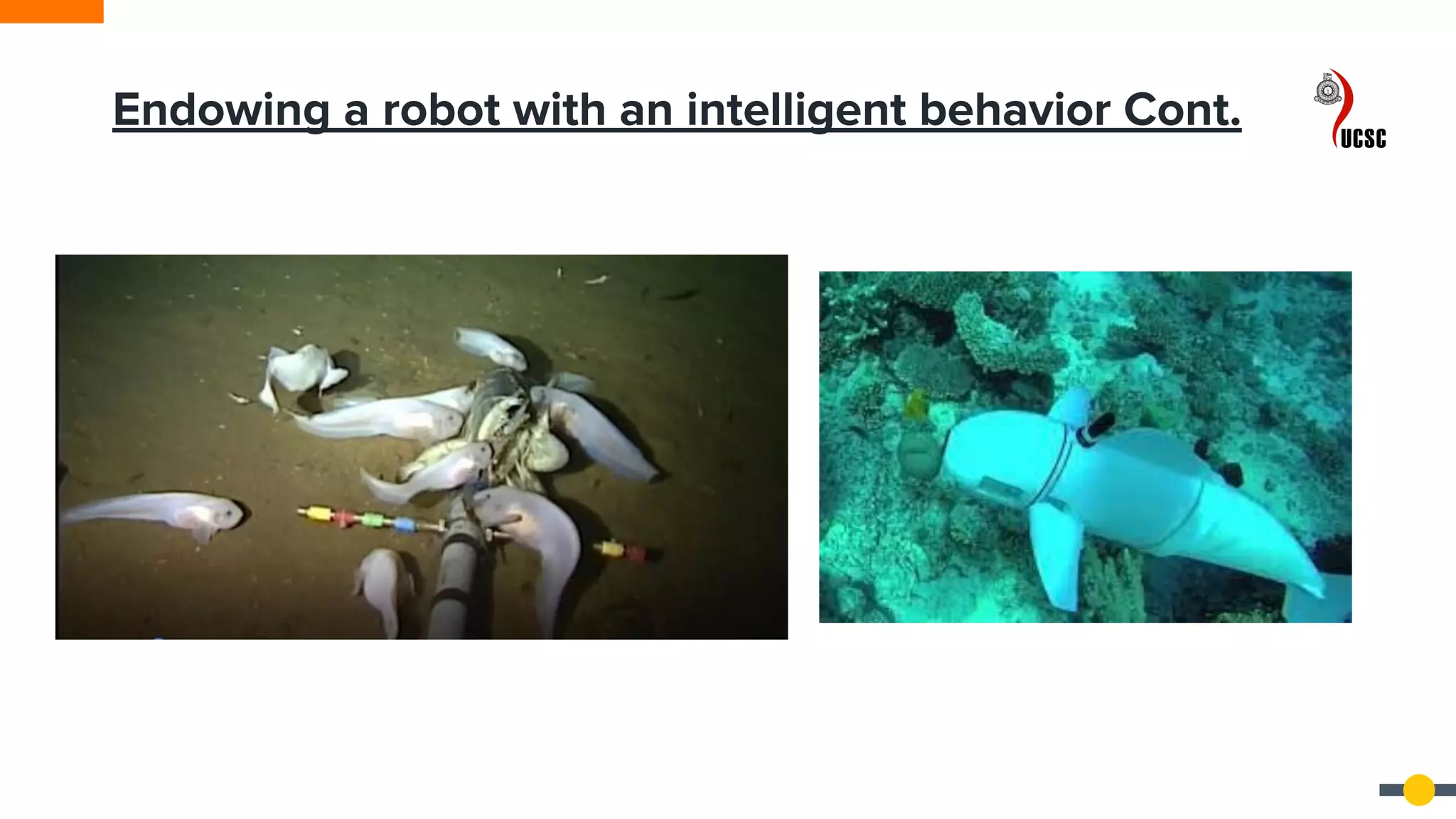 Endowing a robot with an intelligent behavior Cont.
 