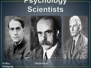 Koffka Wertheimer
Wolfgang
 